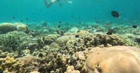 Jáva a Bali: Epická výprava za modrým ohněm