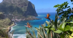 Madeira: Surf Camp