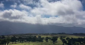Madeira: Surf Camp
