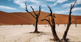 RV Expedice – Namibie 2027